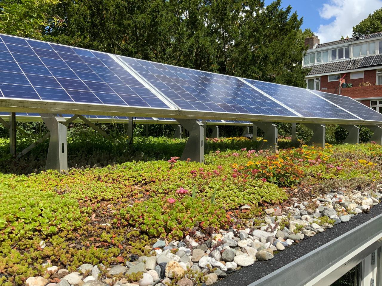 Solar green roofs nyc sustainable greenroofs makeover option best ddc Solar green roofs nyc sustainable greenroofs makeover option best ddc